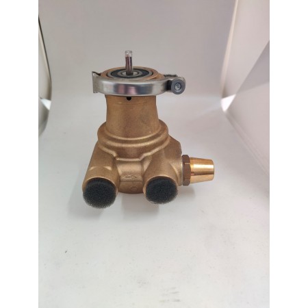 Bomba Abrazadera 100 Litros Rotoflow