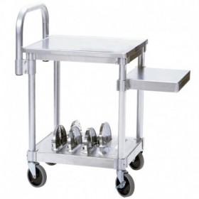 RO-Carro R199