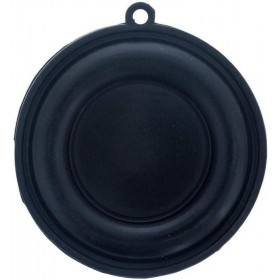 RO-Membrana calentador Cointra 10L 5170 11170