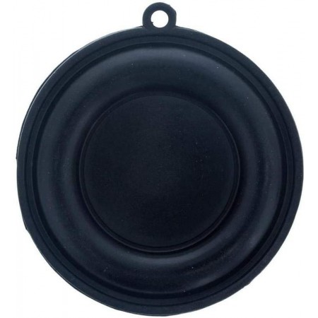 RO-Membrana calentador Cointra 10L 5170 11170