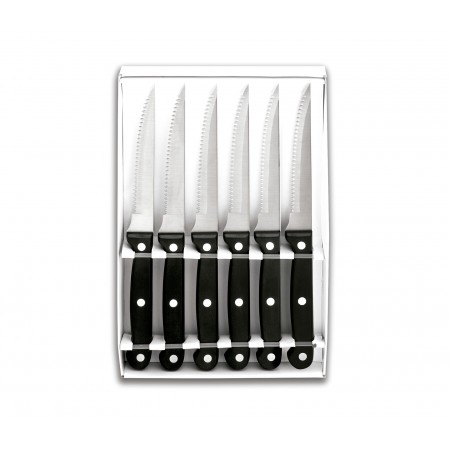 SET 6 CUCHILLOS CHULETEROS MICRO DENTAD
